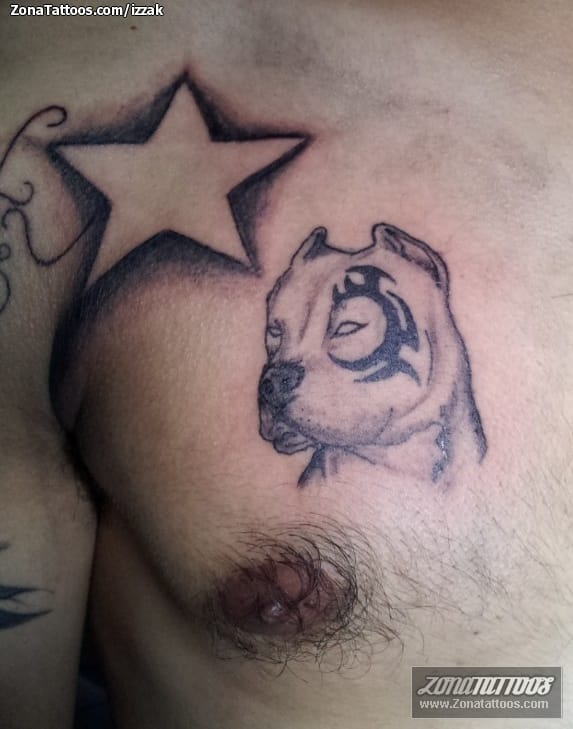 Foto de tatuaje Perros, Animales, Estrellas