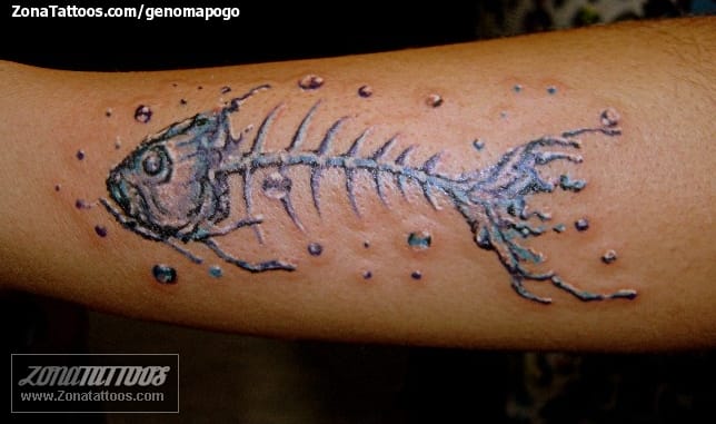 Foto de tatuaje Peces, Animales