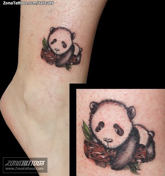 Foto de tatuaje Osos Panda, Tobillo, Animales