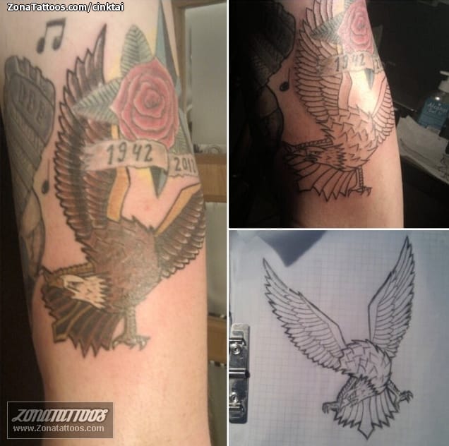 Foto de tatuaje Águilas, Aves, Animales