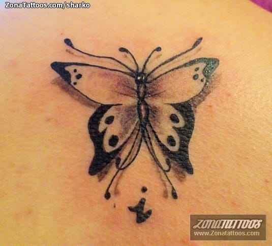 Foto de tatuaje Mariposas, Insectos