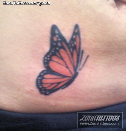 Tattoo photo Butterflies, Insects