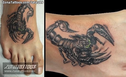 Tattoo photo Scorpions, Insects, Instep