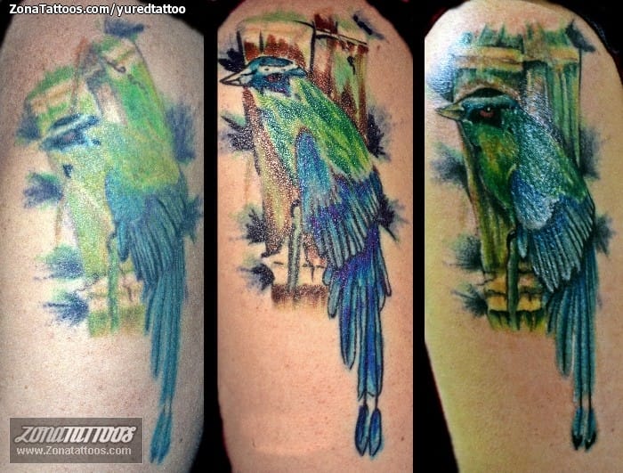 Foto de tatuaje Cover Up, Aves, Animales