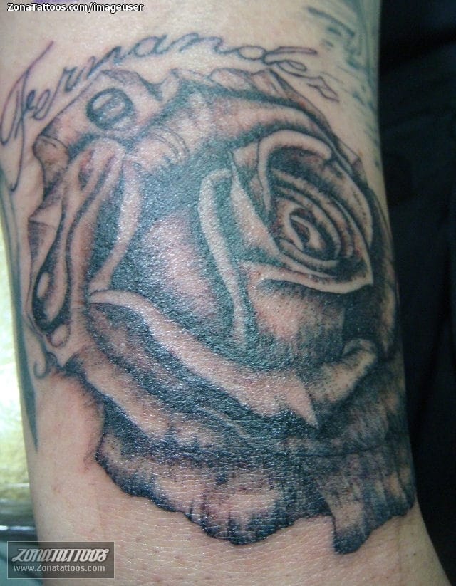 Tattoo photo Roses, Flowers