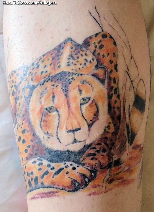 Tattoo photo Animals, Cheetah