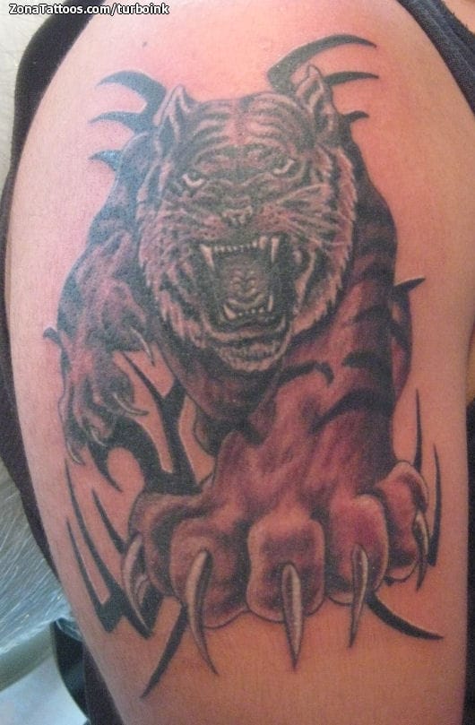 Foto de tatuaje Tigres, Tribales