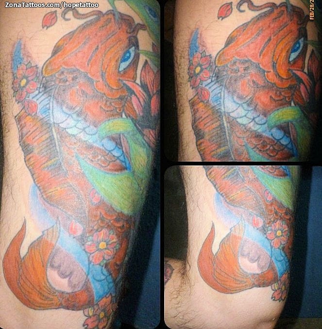 Foto de tatuaje Cover Up, Koi, Peces