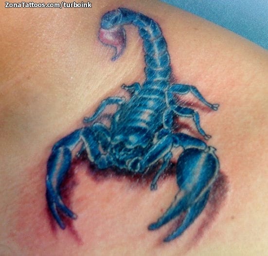 Tattoo photo Scorpions, Insects