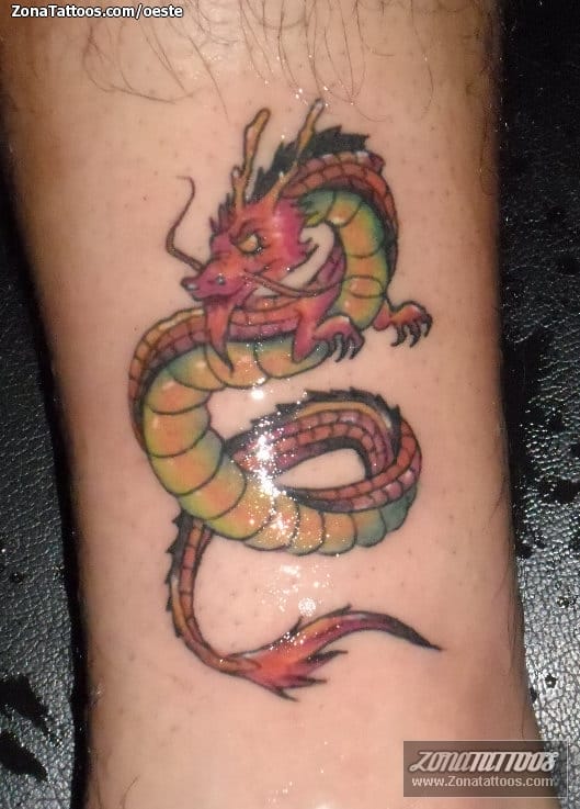 Foto de tatuaje Dragones, Fantasía