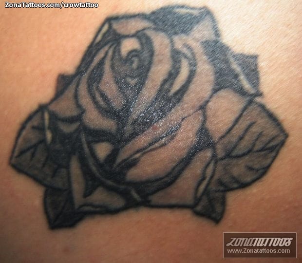 Tattoo photo Roses, Flowers