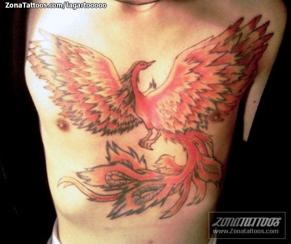 Tattoo photo Phoenix, Chest, Fantasy