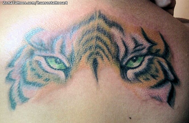 Foto de tatuaje Tigres, Animales