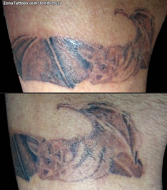 Tattoo photo Bats, Animals