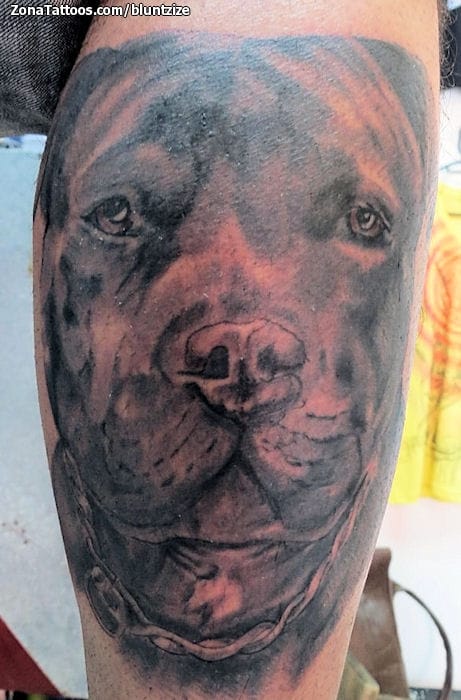 Foto de tatuaje Perros, Animales, Pitbulls