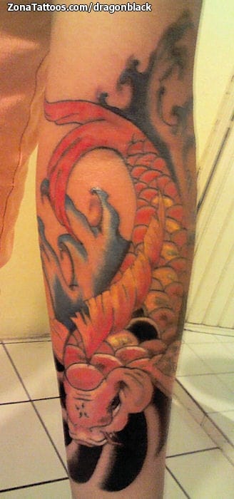 Foto de tatuaje Koi, Peces, Orientales