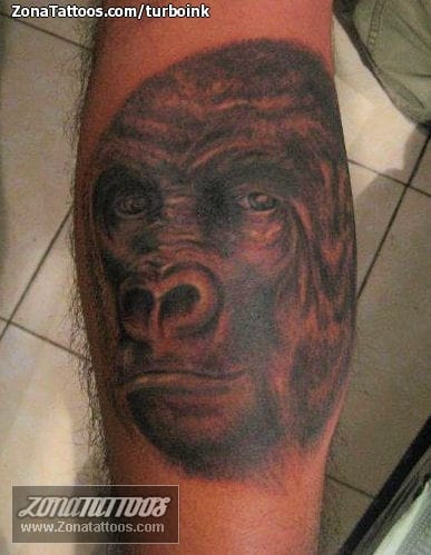 Tattoo photo Animals, Monkeys