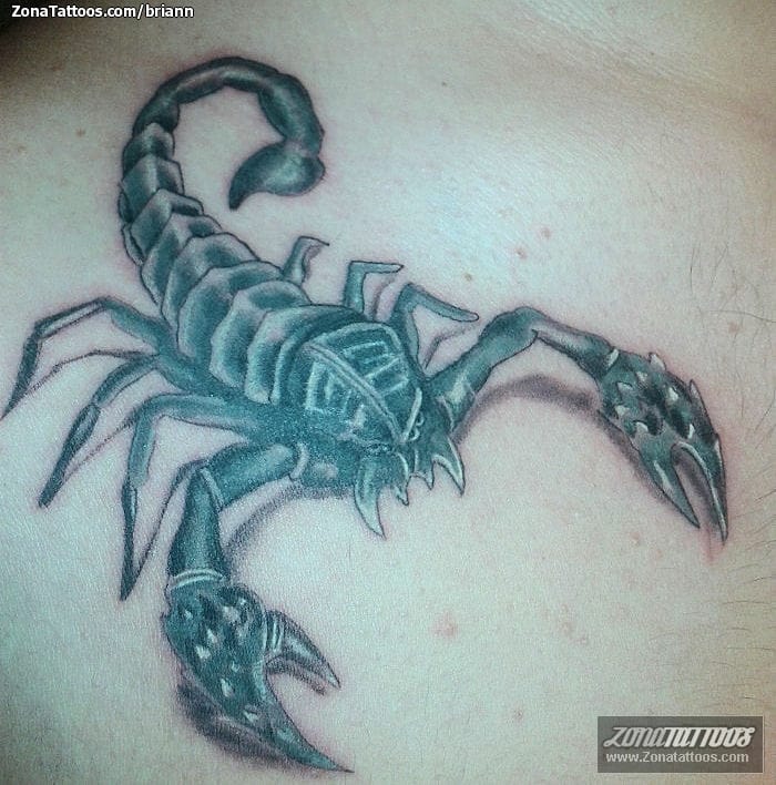 Foto de tatuaje Escorpiones, Insectos, Animales