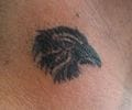 Tatuaje de stntatoo