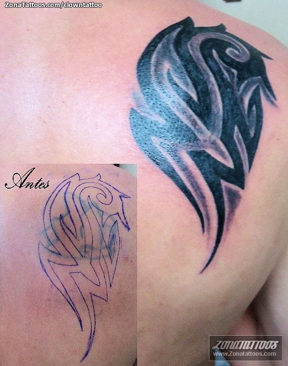 Foto de tatuaje Cover Up, Tribales, Omóplato