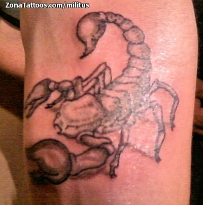 Tattoo photo Scorpions, Insects