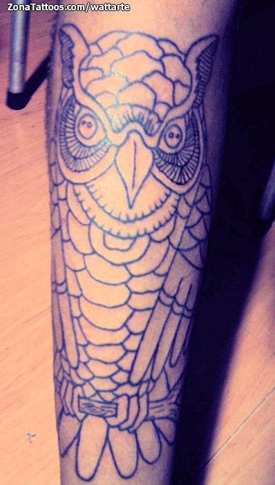 Tattoo photo Owls, Birds, Animals