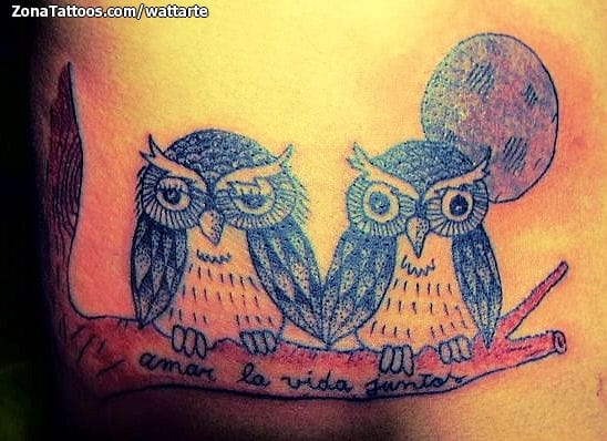 Foto de tatuaje Búhos, Aves, Animales