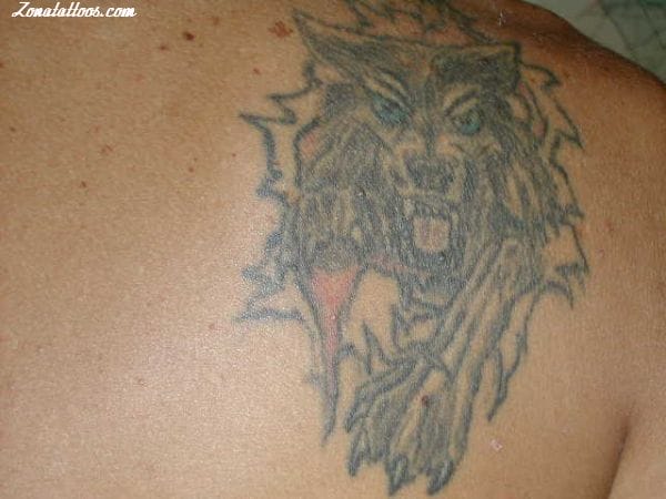 Foto de tatuaje Lobos, Animales