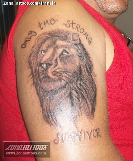 Tattoo photo Animals, Lions