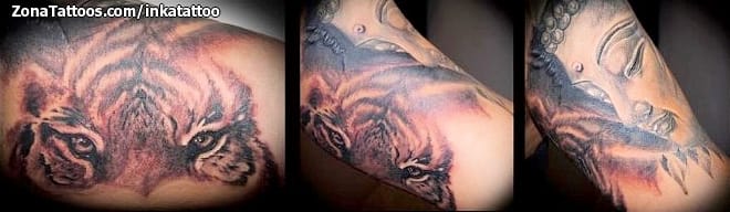 Foto de tatuaje Tigres, Budas, Animales