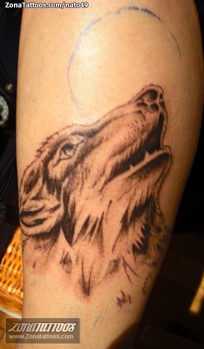 Foto de tatuaje Lobos, Animales