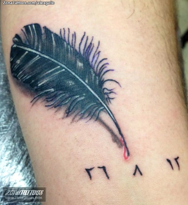 Tattoo photo Feathers, Hebrew, Blood