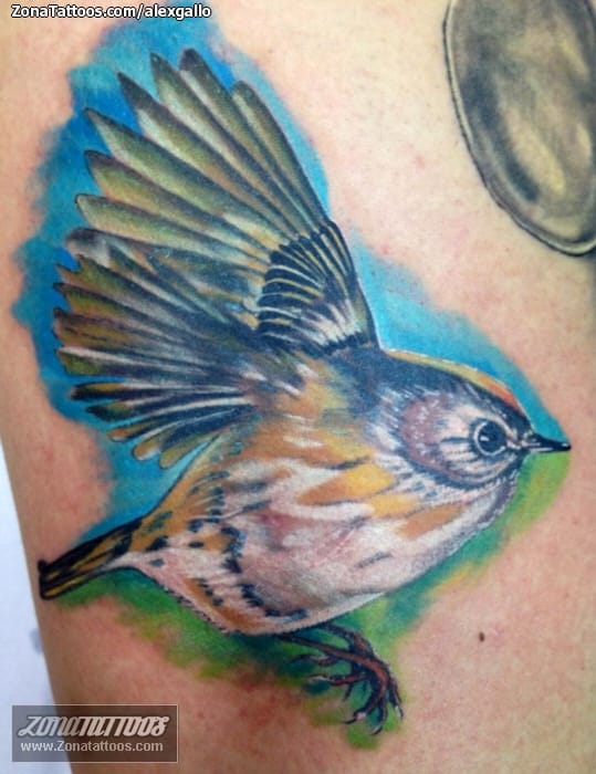 Tattoo photo Birds, Animals