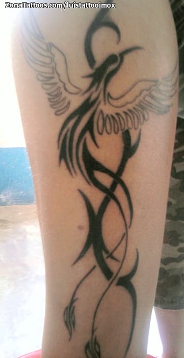 Tattoo photo Phoenix, Fantasy, Tribal