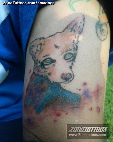 Tattoo photo Animals, Dogs