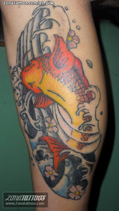 Foto de tatuaje Koi, Cover Up, Peces