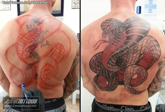 Tattoo photo Back, Snakes, Cover Up