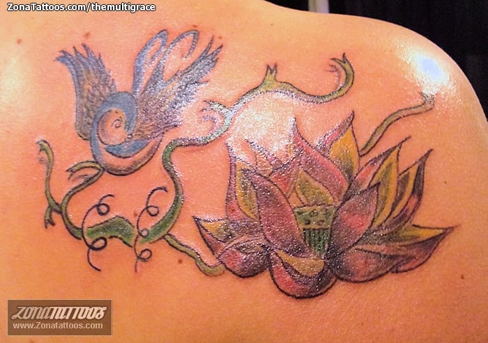 Foto de tatuaje Lotos, Flores, Golondrinas