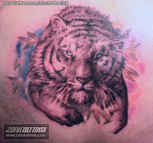 Foto de tatuaje Tigres, Animales