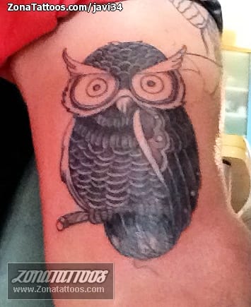 Tattoo photo Owls, Birds, Animals