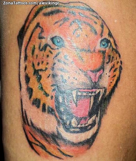 Foto de tatuaje Tigres, Animales