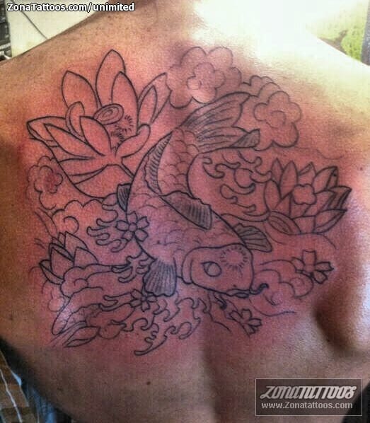 Foto de tatuaje Koi, Espalda, Orientales