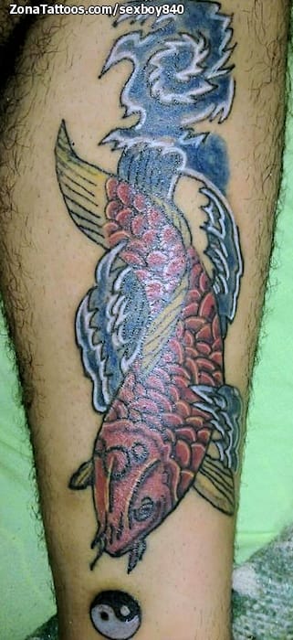 Foto de tatuaje Koi, Agua, Peces