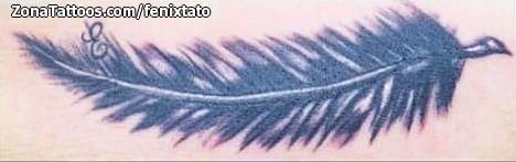 Tattoo photo Feathers