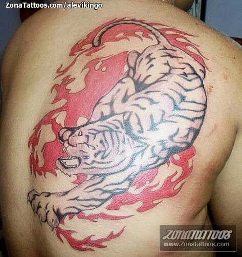 Tattoo photo Tigers, Asian, Animals