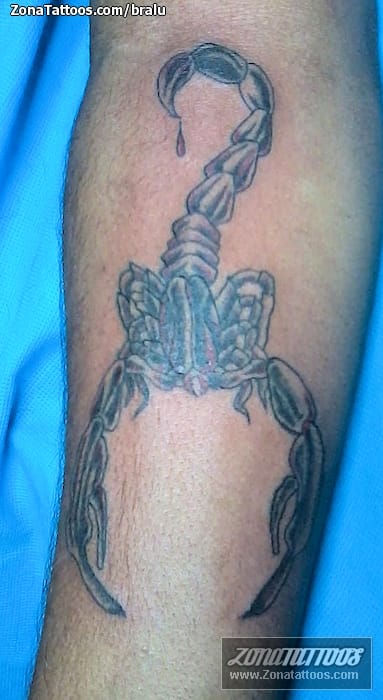 Tattoo photo Scorpions, Insects