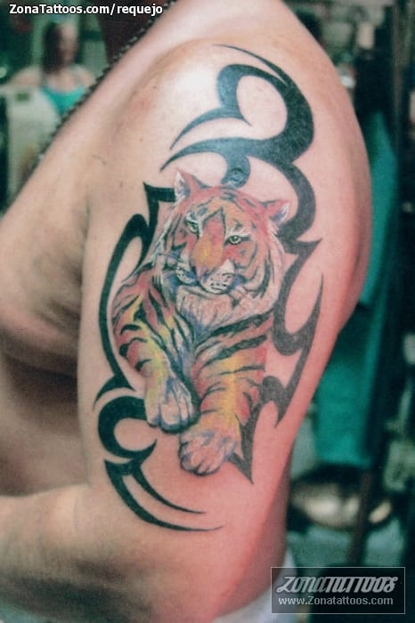 Foto de tatuaje Animales, Tigres, Tribales