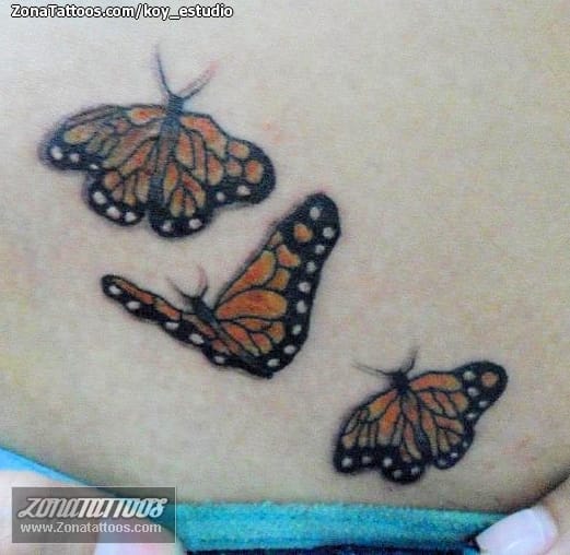 Tattoo photo Butterflies, Insects