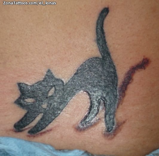 Foto de tatuaje Animales, Gatos