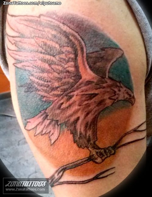 Foto de tatuaje Animales, Águilas, Aves